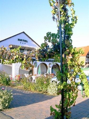 Gutshof Ziegelhuette Hotel Edenkoben Exterior foto